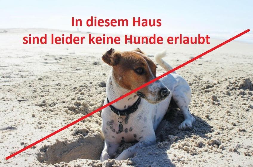 Hotel Regenbogen Suhrendorf Ummanz Zewnętrze zdjęcie